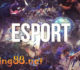 Vì sao cá cược Esport BWING trở thành tâm điểm của nhà cái và hướng dẫn đặt cược